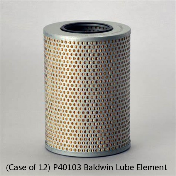 (Case of 12) P40103 Baldwin Lube Element