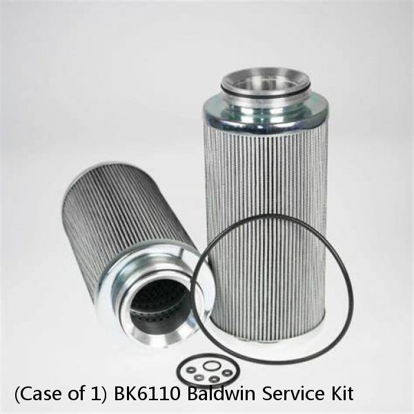 (Case of 1) BK6110 Baldwin Service Kit