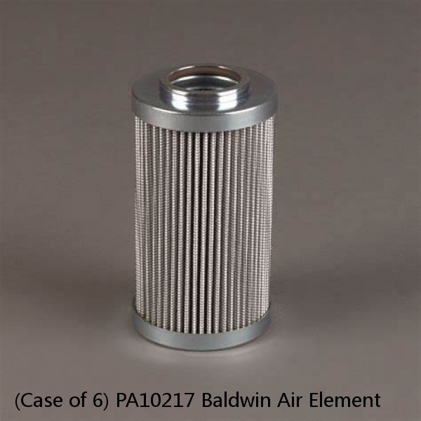 (Case of 6) PA10217 Baldwin Air Element #1 small image