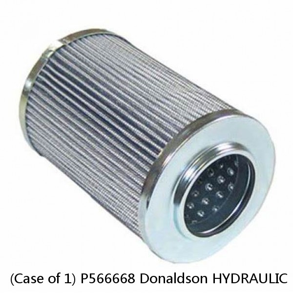 (Case of 1) P566668 Donaldson HYDRAULIC FILTER, CARTRIDGE DT #1 image