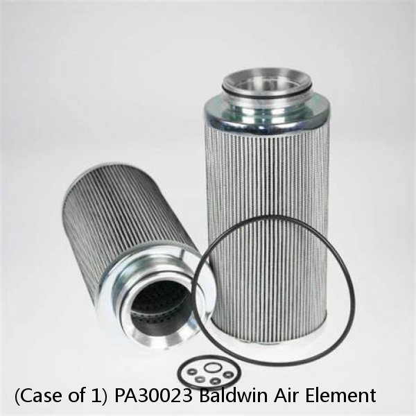 (Case of 1) PA30023 Baldwin Air Element #1 image
